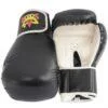 Boxing Hand Glove